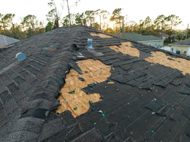 Best Emergency Roof Repair Services  in Temple, PA